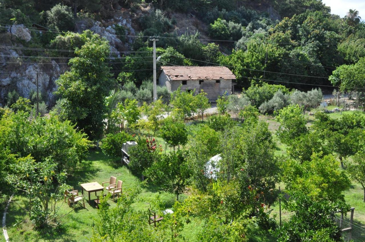 San Simon Hotel Çıralı 외부 사진