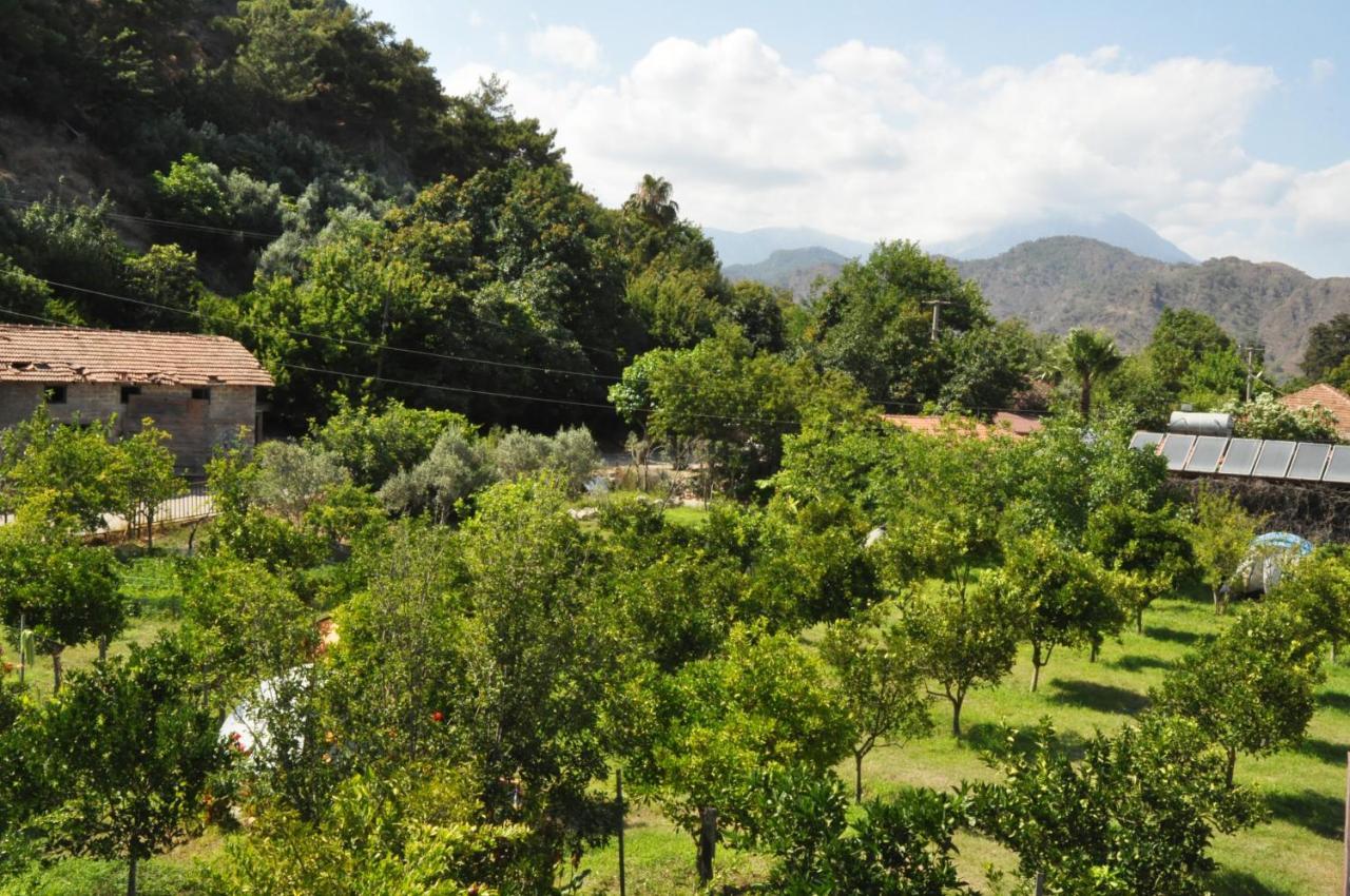 San Simon Hotel Çıralı 외부 사진