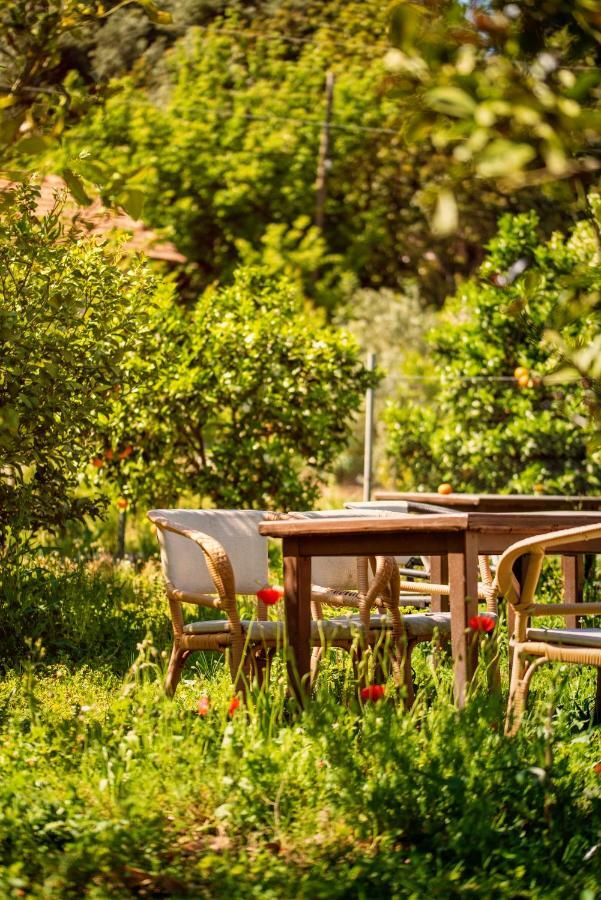 San Simon Hotel Çıralı 외부 사진