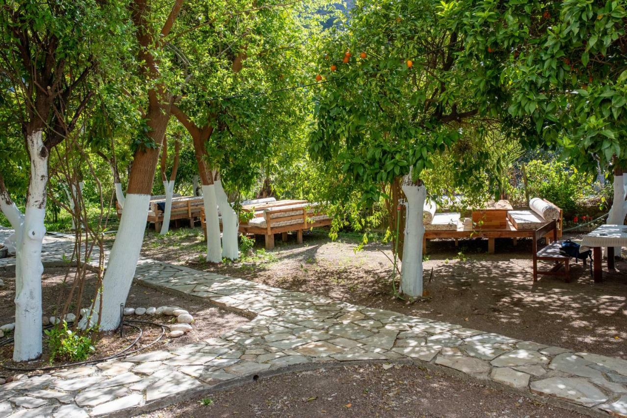 San Simon Hotel Çıralı 외부 사진
